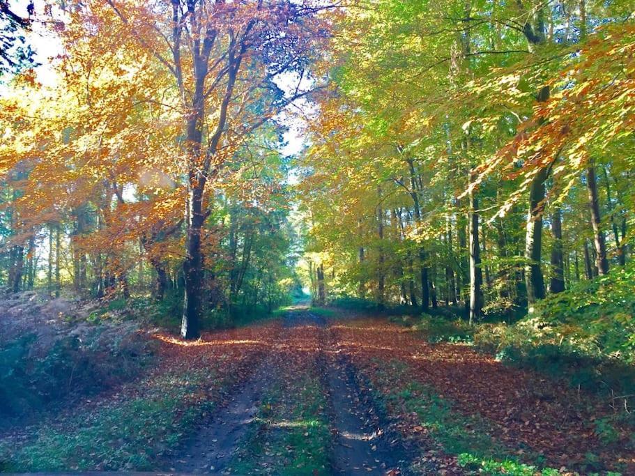 Forestry Cottage. Hot Tub, Open Fire, Dog Friendly Gaywood 외부 사진