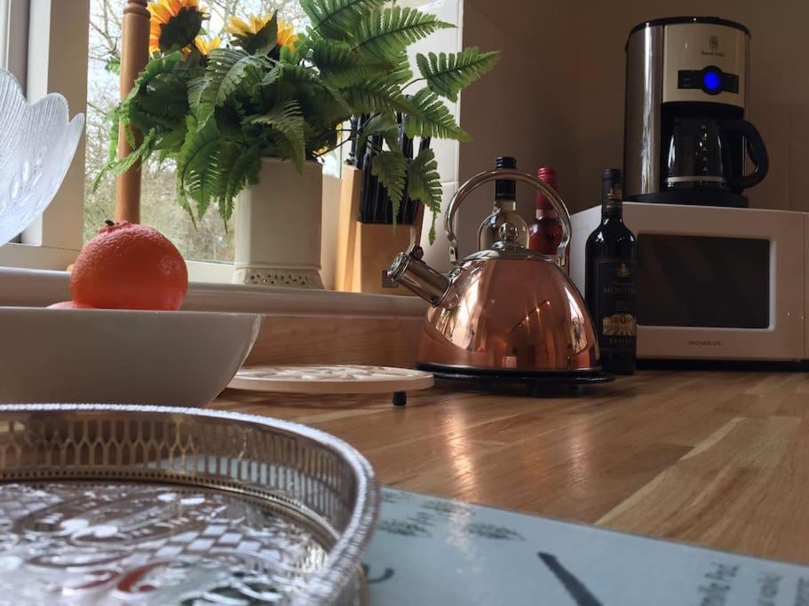 Forestry Cottage. Hot Tub, Open Fire, Dog Friendly Gaywood 외부 사진