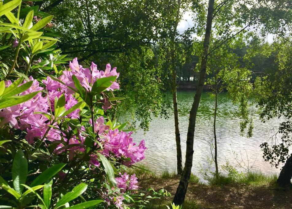 Forestry Cottage. Hot Tub, Open Fire, Dog Friendly Gaywood 외부 사진