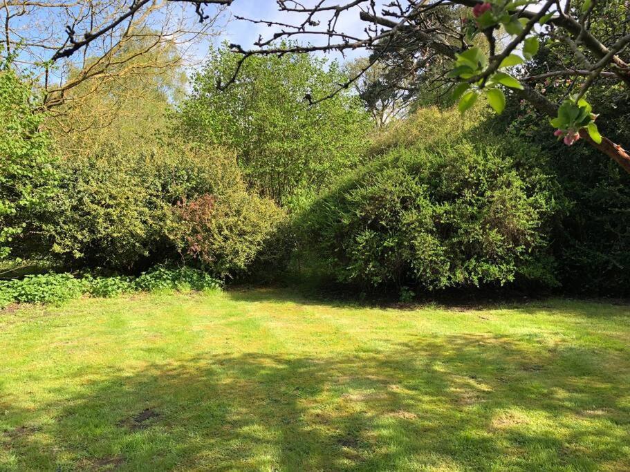 Forestry Cottage. Hot Tub, Open Fire, Dog Friendly Gaywood 외부 사진